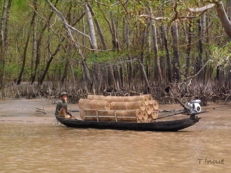 Fishing traps on a small local boat (Vietnam)