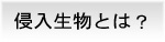 侵入生物とは？