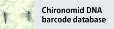 Chironomid DNA Barcode Database
