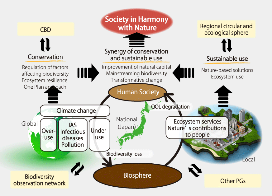 Position of the Harmonization with Nature Research Program