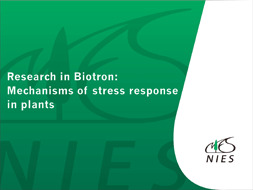 Research in Biotron: Mechanisms of stress response in plants PDF515KB