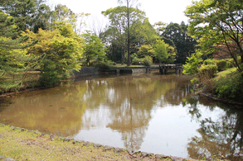 2013年4月の秋津の池の様子