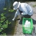 環境DNAによる全国湖沼の魚類モニタリング：
            1Lの採水によって40種を超える魚種を検出
