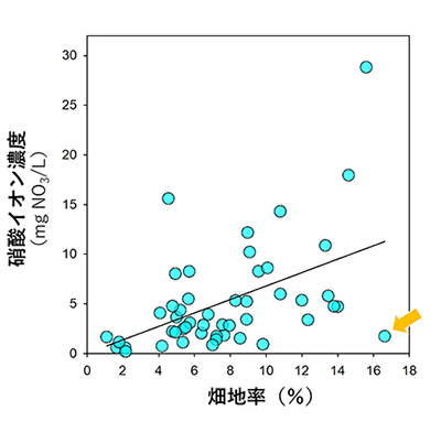 霞ヶ浦の49小流域で見られれた畑地率と硝酸濃度の関係のグラフ