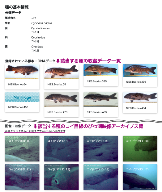 種の基本情報画面