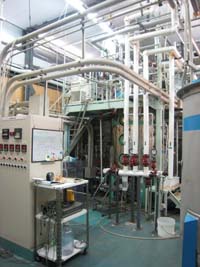 �C���}�C�N���R�Y���̎ʐ^