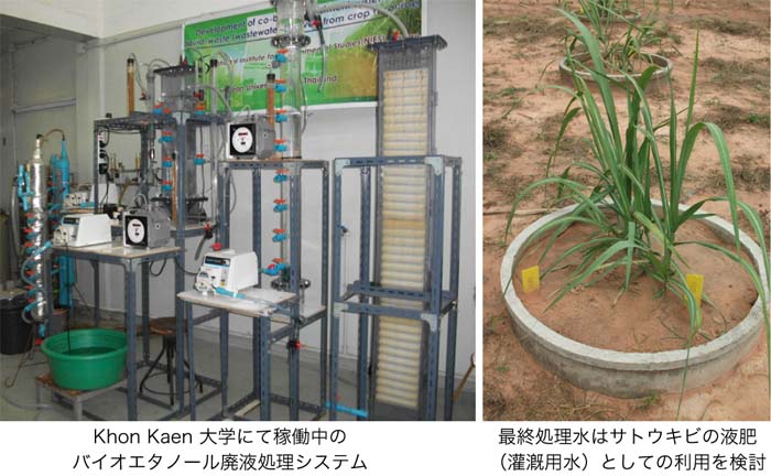 �����Љ�