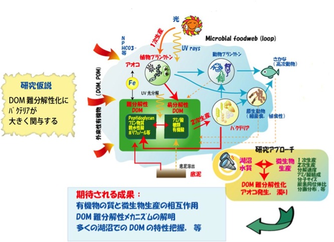 �����̊T�v�}