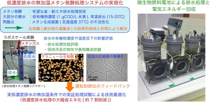 �����T�v�}