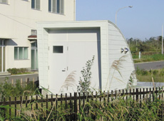 �o�C�I�E�G�R�G���W�j�A�����O�����{��