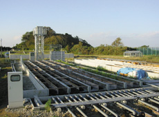 �o�C�I�E�G�R�G���W�j�A�����O�����{��