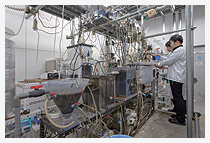 �o�C�I�E�G�R�G���W�j�A�����O�����{��