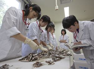 �ʐ^�S�@�����A��������ނ̎d����