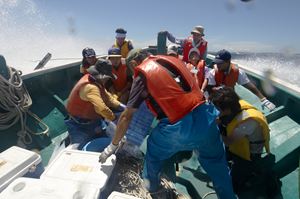 �ʐ^�R�@�����p�ł̐����A��������