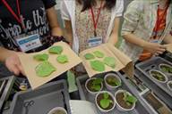 �I�]���̐A���R�[�X