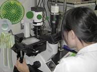 ���l�ȑ��ނ̊ώ@�R�[�X