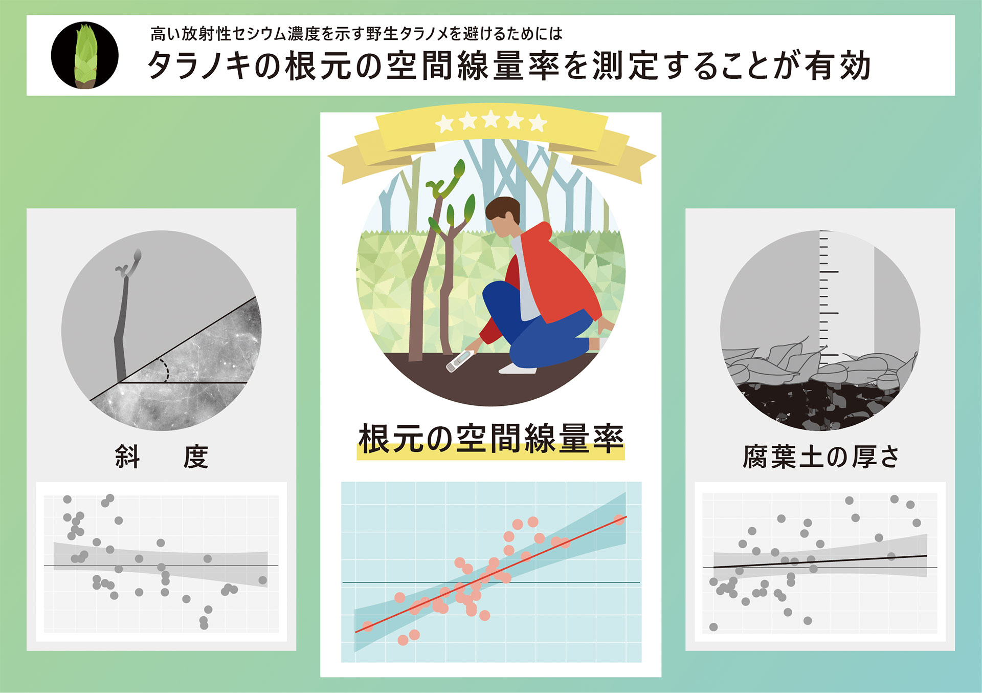 高い放射性セシウム濃度を示す野生タラノメを避けるためにはタラノキの根元の空間線量率を測定することが有効