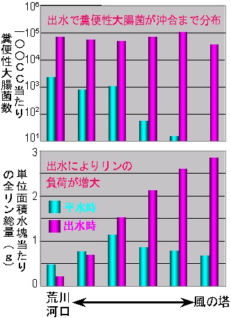 上、100cc当たり糞便大腸菌数のグラフ　下、単位面積水塊当たりの全リン総量（g）のグラフ