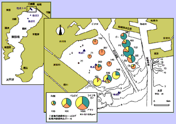 調査地における分布図