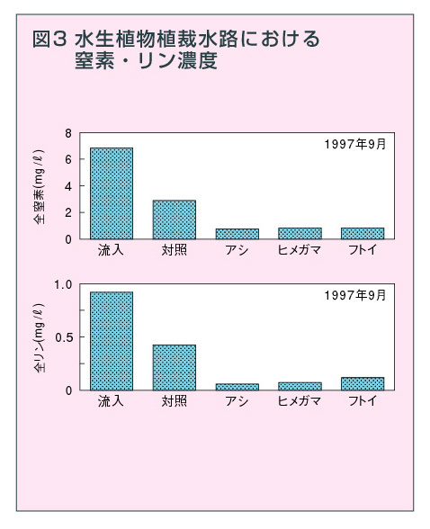 図3