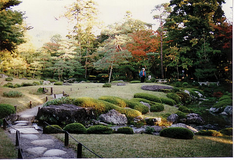限られたスペースに池や林を再現した日本庭園の写真