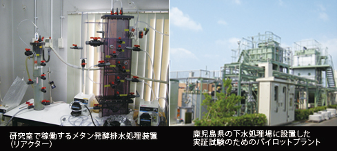 写真2点　左：研究室で稼働するメタン発酵排水処理装置（リアクター）　右：鹿児島県の下水処理場に設置した実証試験のためのパイロットプラント