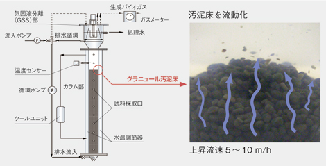 排水処理メタン発酵リアクター（グラニュール汚泥床）の構造とグラニュール汚泥の写真と図　（クリックで拡大画像がポップアップします）