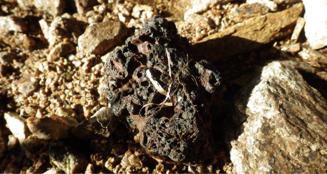 調査中に偶然発見した「たたら製鉄」の残滓（ノロ）の写真