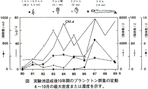 図  実験池造成後10年間のプランクトン群集の変動