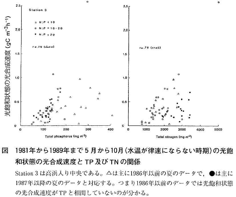 �}&nbsp;&nbsp;1981�N����1989�N�܂łT������10���i�����������ɂȂ�Ȃ������j�̌��O�a��Ԃ̌��������x��TP�y��TN�̊֌W