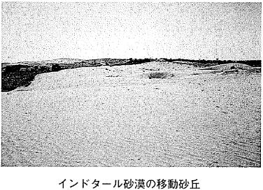 �ʐ^&nbsp;&nbsp;�C���h�^�[�������̈ړ����u