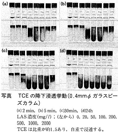�ʐ^&nbsp;&nbsp;TCE�̍~���Z�������i0.4mm�ӃK���X�r�[�Y�J�����j