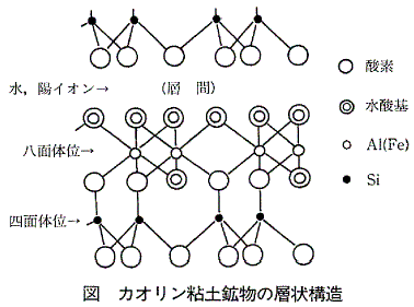 �}&nbsp;&nbsp;�J�I�����S�y�z���̑w��\��