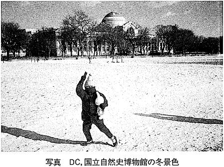 �ʐ^&nbsp;&nbsp;�c�b�C�������R�j�����ق̓~�i�F