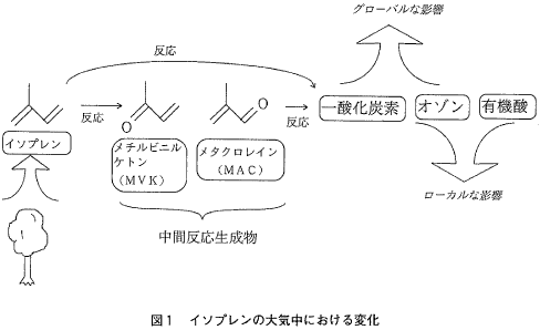 図1  イソプレンの大気中における変化