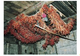 ������C�����ɂ��H�i�̃t�b�f������