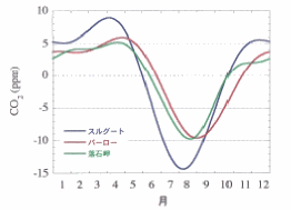 ��_���Y�f�Z�x�̕��ϓI�ȋG�ߕϓ��̔�r