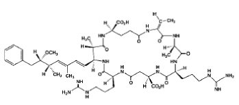 �}�FDhb �|�~�N���V�X�`���q�q