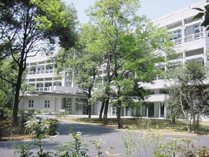 �ʐ^&nbsp;�n�����g��������