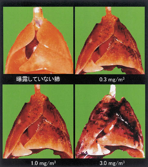 �}&nbsp;DE���V�����Ԕ��I�����x�Ɣ��I���Ȃ��x�i�ΏƁj�̊O�ρD