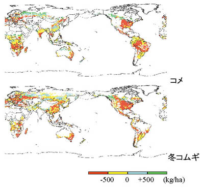 �}&nbsp;&nbsp;���g���̃R���E�~�R���M�̐��ݓI���ʂւ̉e��