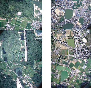 �}�P�D���F�g���{�̎�ސ����������ߒr�̌i�ρA�E�F�g���{�̎�ސ������Ȃ����ߒr�̌i��