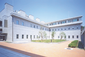 �ʐ^�Q�D�z�E�p�����������i����j