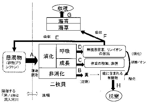 メカニズムの図