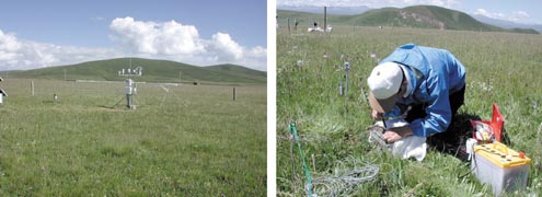 �ʐ^2�D�C�ȊC�k�����ɐݒu������_���Y�f�t���b�N�X�ϑ��V�X�e���i���j�Ƒ��蕗�i�i�E�j