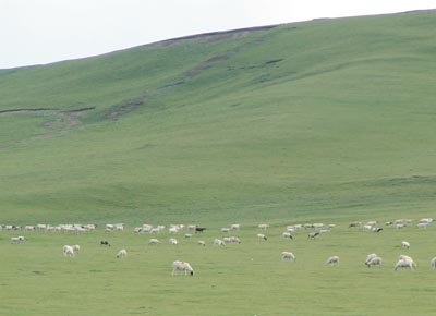  �ʐ^1�D�����C���������i�C�Ȗk���F�W����3,800���j