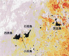 石垣島周辺の観測画像