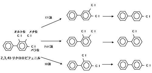 �}�D2,3,4-�g���N�����r�t�F�j���̎啪���o�H