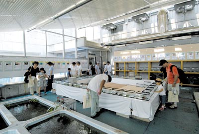 ���̒��ɂ͂ǂ�Ȑ����������邩�ȁH