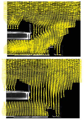 �}�U�D�r�C�t�@�����̗͂���